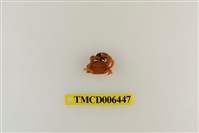 藏品(礁石假團扇蟹)的圖片